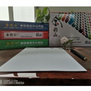 九州（中国）科技有限公司官网打印纸